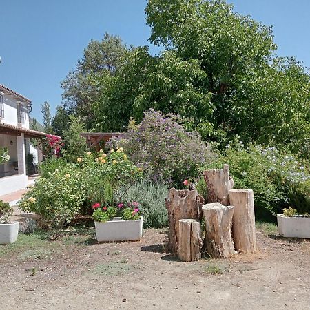 Casa Rural La Maquinilla Villa Grazalema Luaran gambar