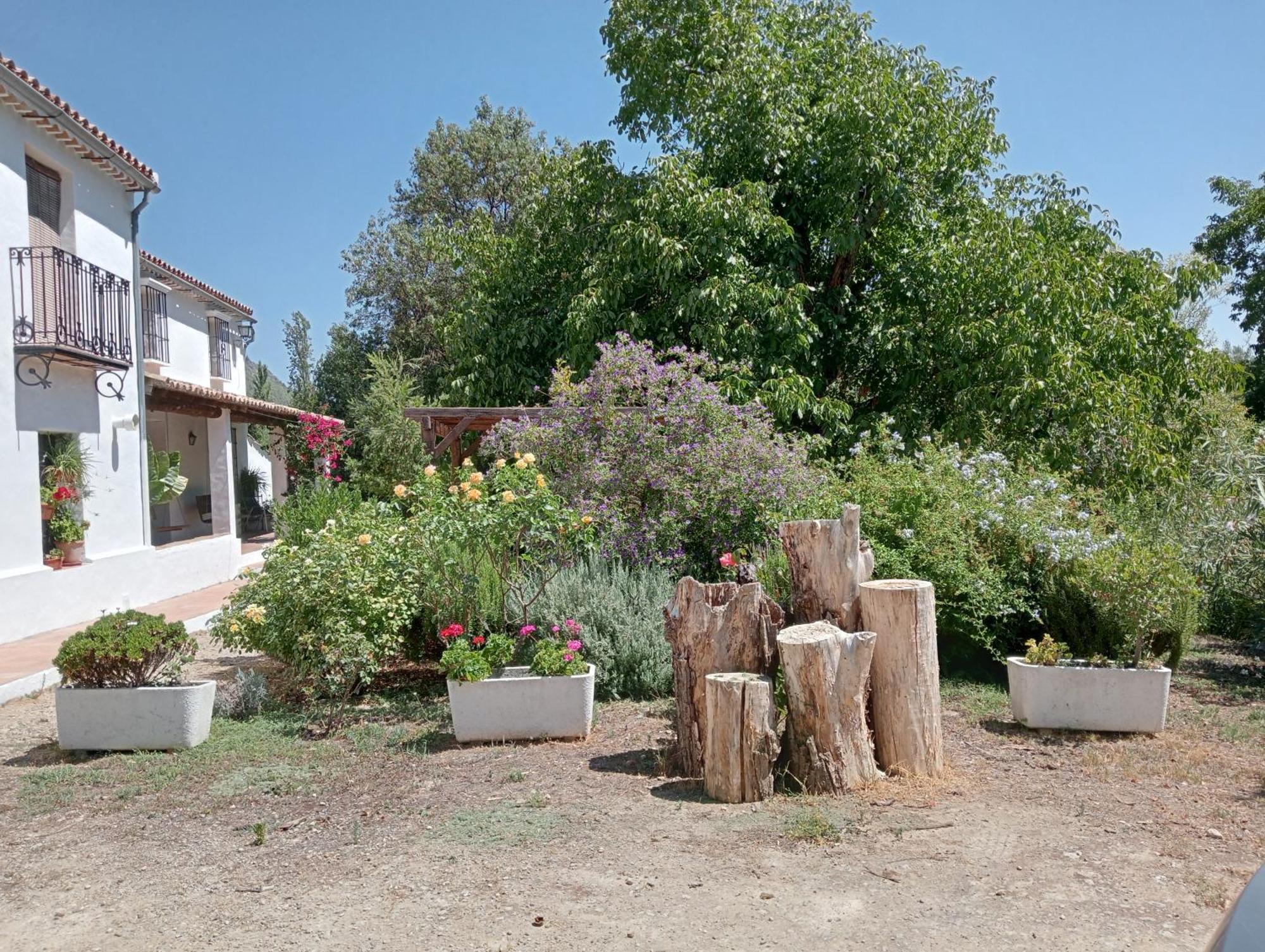 Casa Rural La Maquinilla Grazalema Luaran gambar