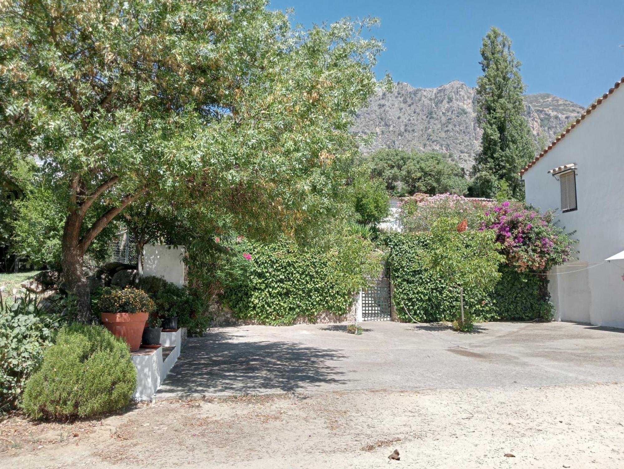 Casa Rural La Maquinilla Grazalema Luaran gambar