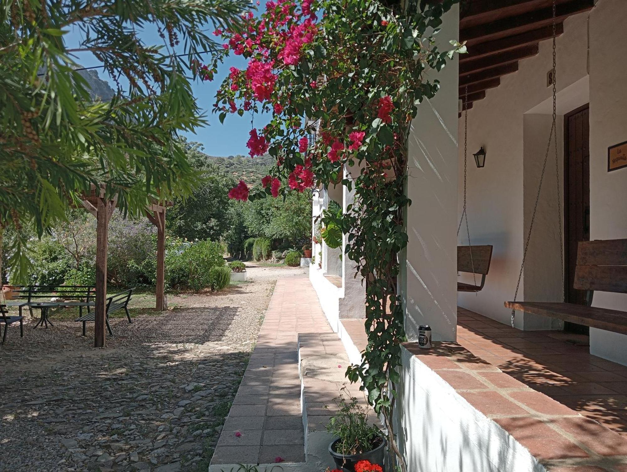 Casa Rural La Maquinilla Grazalema Luaran gambar
