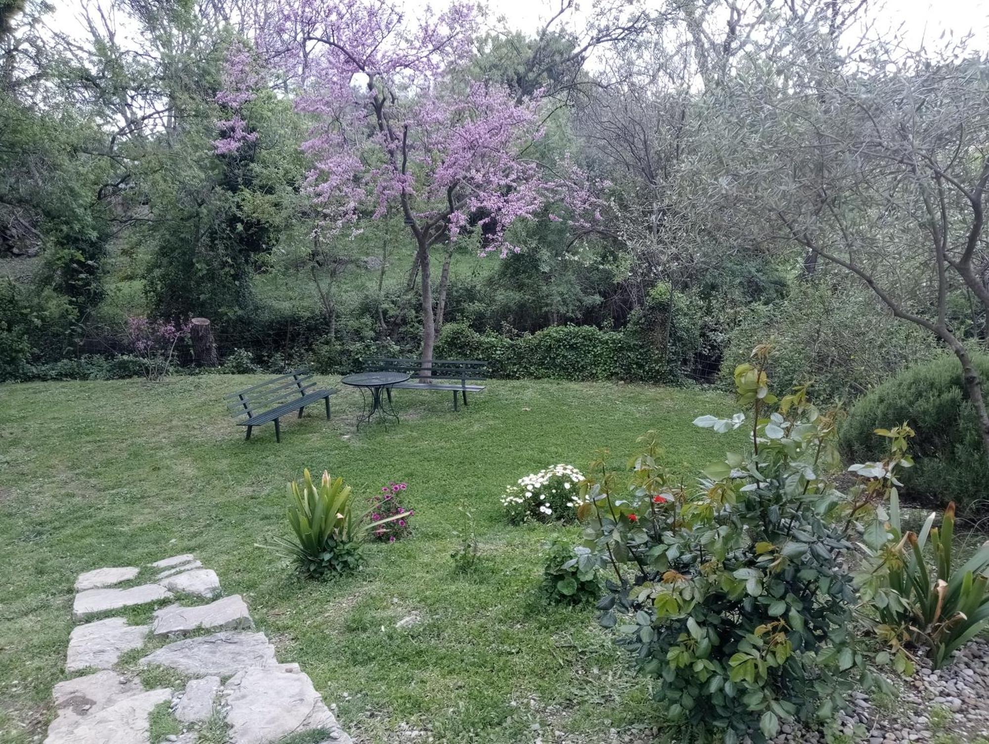 Casa Rural La Maquinilla Grazalema Luaran gambar