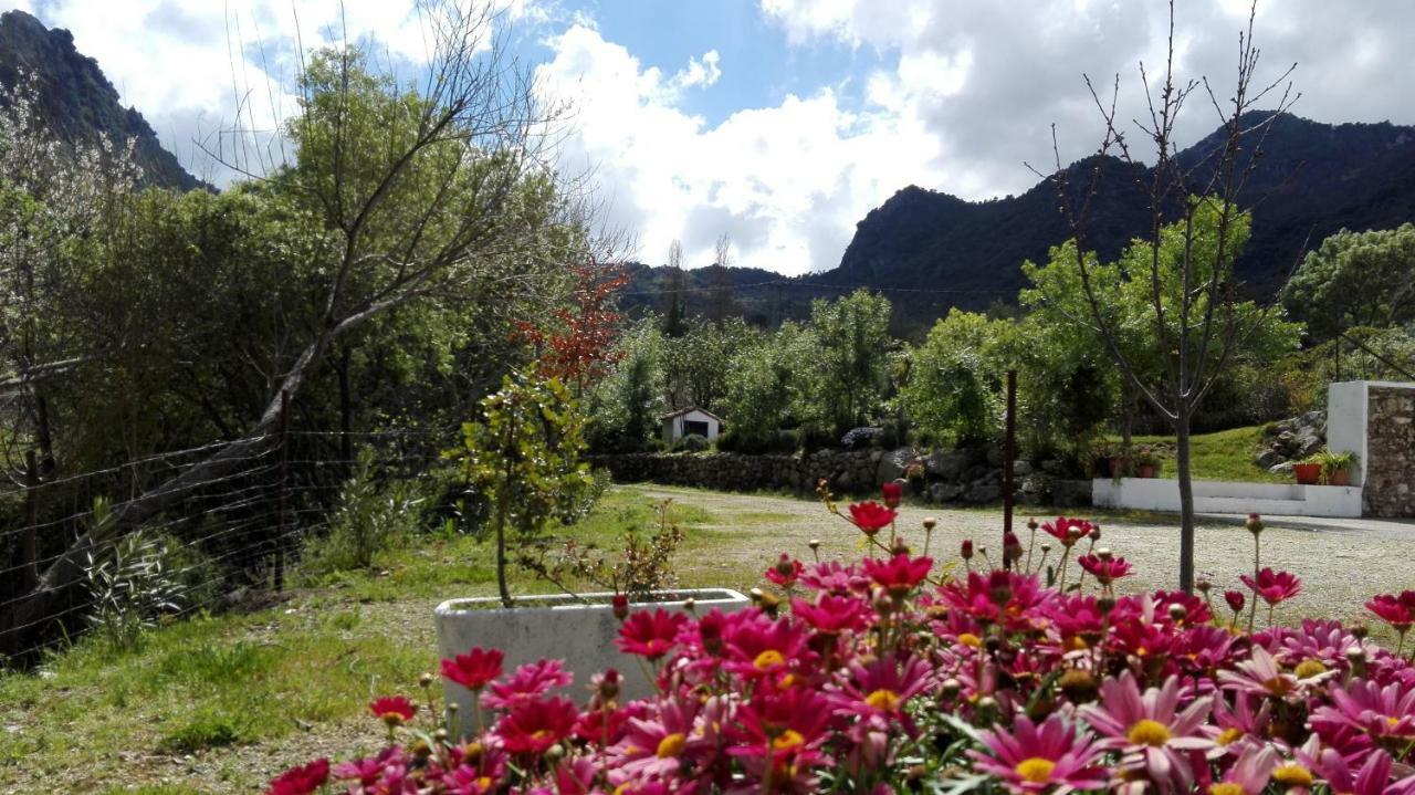 Casa Rural La Maquinilla Grazalema Luaran gambar