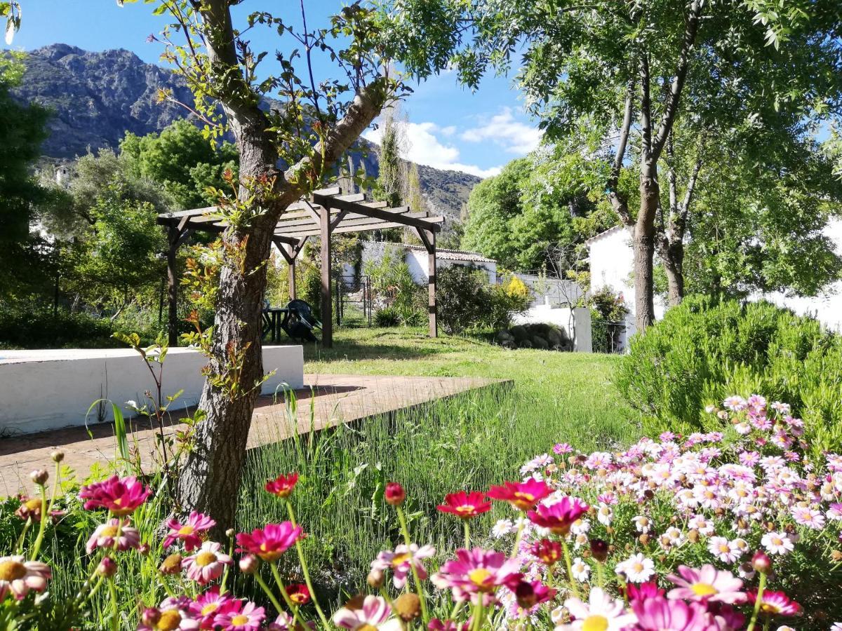 Casa Rural La Maquinilla Grazalema Luaran gambar